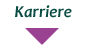 Karriere