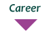 Karriere